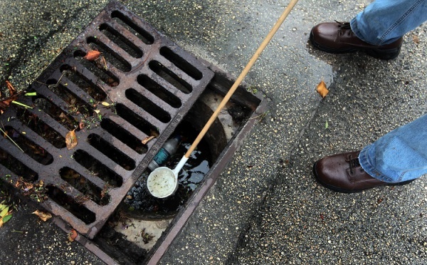 La dengue ne recule pas : déjà 15 cas confirmés