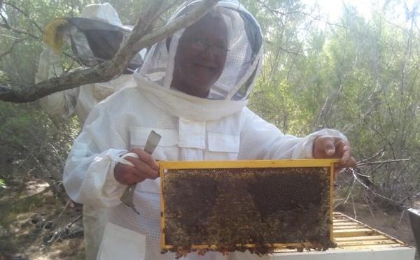 ​La vie en miel de Tony Foster