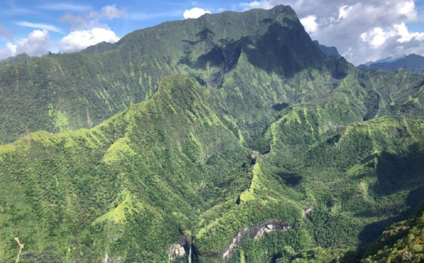 114 millions pour deux appels à projet en faveur de la biodiversité