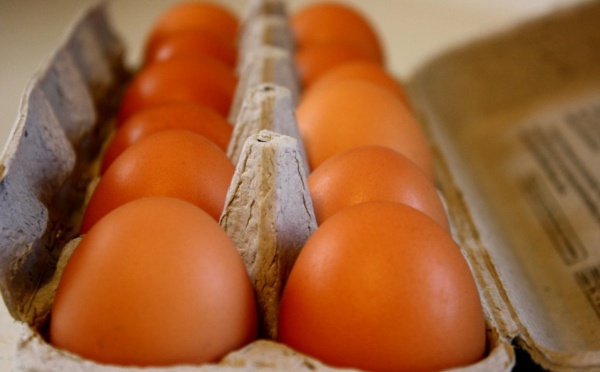 Œufs : encore "un an à un an et demi" de pénurie à Tahiti, selon de ministère de l’Agriculture