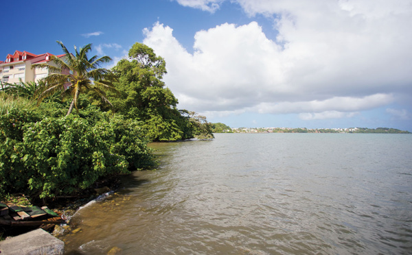 Guadeloupe: décès d'une fillette mais une femme retrouvée vivante après la crue d'une rivière
