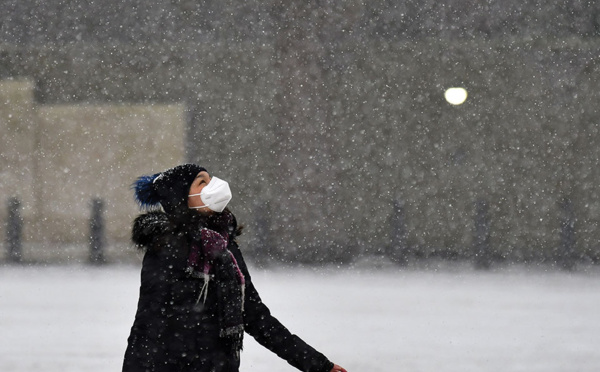 L'Allemagne et le Royaume-Uni perturbés par la neige