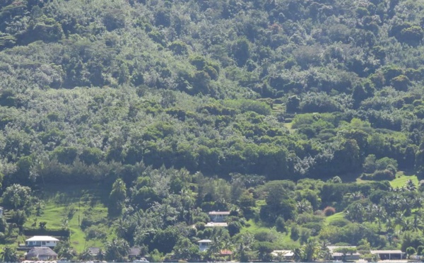 ​Un projet de groupement d'habitations à Paopao