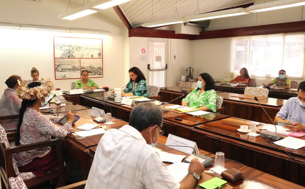 Nicole Bouteau présente le renforcement du plan de sauvegarde des emplois à l'APF