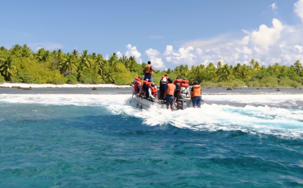 Retour sur la mission scientifique Kivi Kuaka