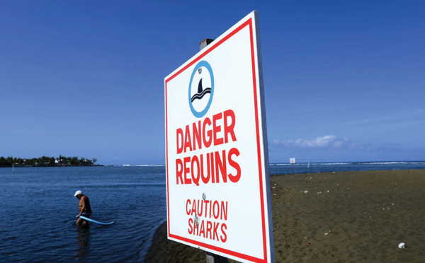 La Réunion: des écoles de surf rouvrent, huit ans après des attaques de requins