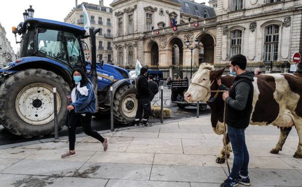 Covid et cantine: des éleveurs protestent contre les menus sans viande à Lyon