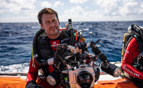 "On ne peut pas protéger le Grand requin-marteau sans le connaître"