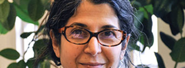 Un deuxième Français détenu en Iran outre la chercheuse Fariba Adelkhah
