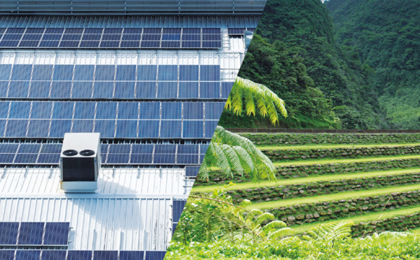 La part du renouvelable dans le mix énergétique toujours en repli en 2019