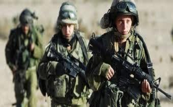Les Australiennes peuvent combattre au front mais préfèrent rester derrière