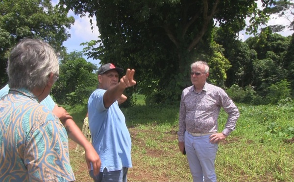 Tumara'a mise sur Avatea pour une usine de rhum en 2022