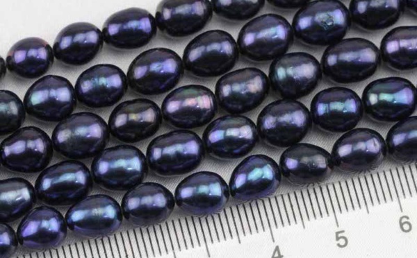 Encore un négociant indemnisé pour ses perles détruites par le Pays