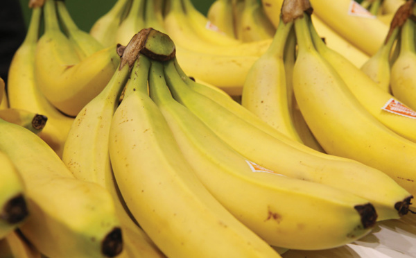 Chlordécone: "La grande majorité des faits était déjà prescrite" dès le dépôt des plaintes