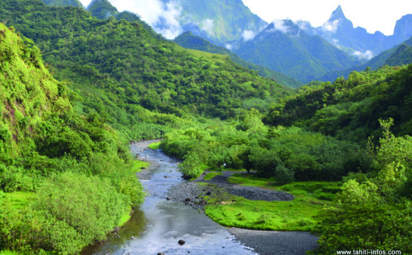 Un comité de pilotage pour le développement économique du centre de Tahiti