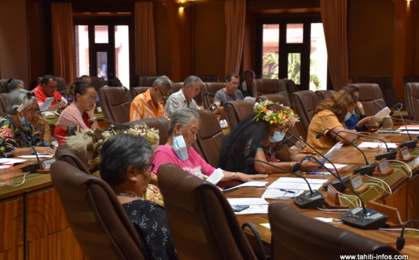 Le futur statut des collaborateurs de l'APF épluché au Cesec