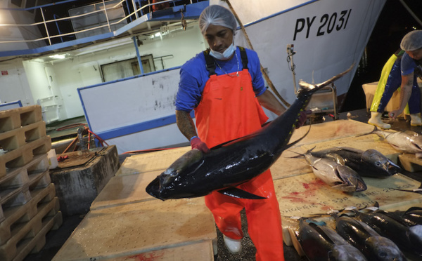 ​Les aides aux mareyeurs reconduites en 2021