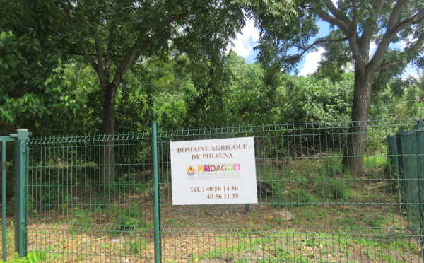 La DAG au soutien de la reconversion professionnelle à Moorea