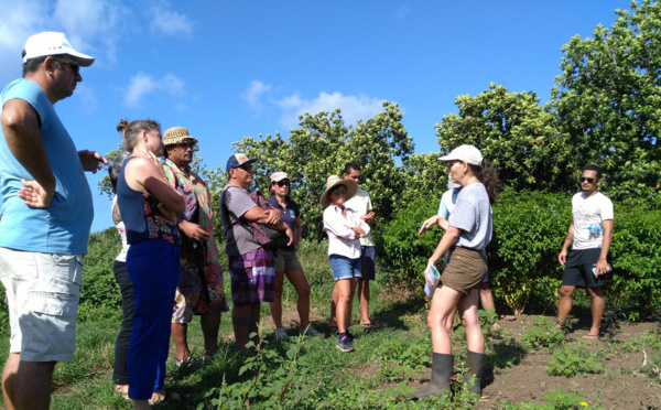 Première réunion du réseau de fermes en agroécologie