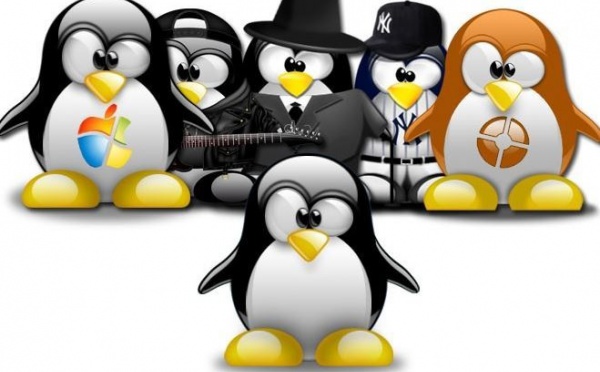 LoLiTa organise une Install'party à la Maison de la Culture