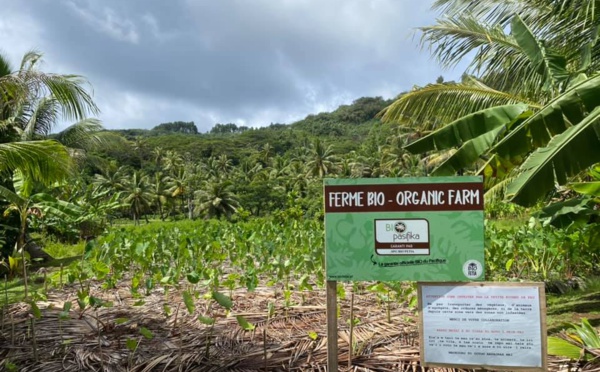 ​Agriculture biologique : une subvention de 18 millions pour Bio Fetia