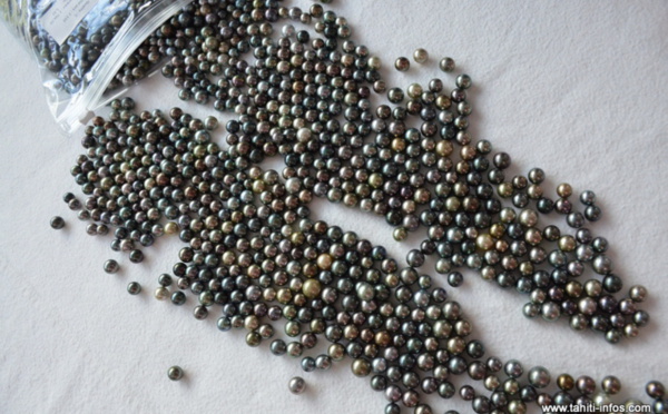 La taxe perlière à l'exportation rétablie