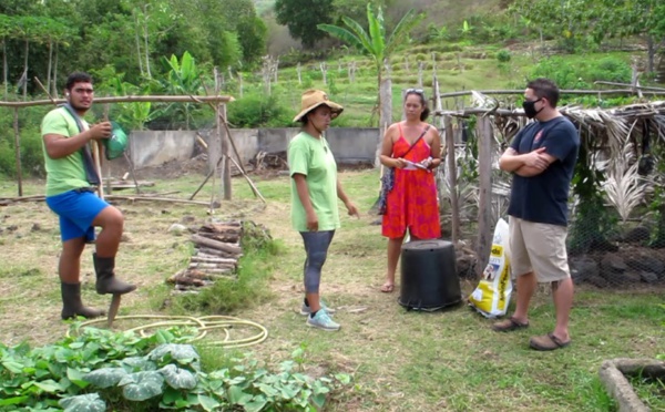 ​Les filières agricoles à l'honneur à Nuku Hiva