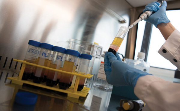 Covid-19 : trois cas au total de variant indien en Nouvelle-Aquitaine