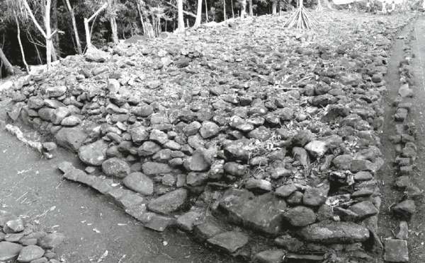 Pererau, un tahua renaît de ses ruines après 10 ans de restauration