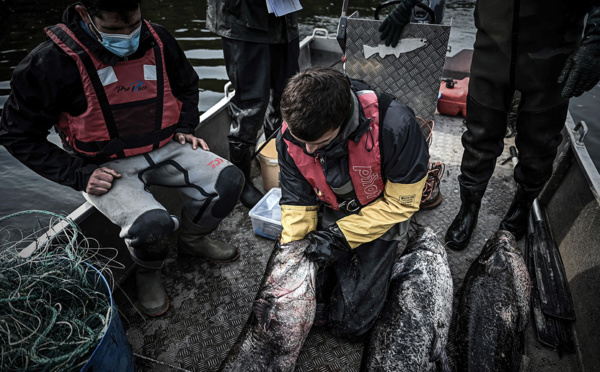 Brexit: la tension monte entre Paris et Londres sur le sort des pêcheurs français à Jersey