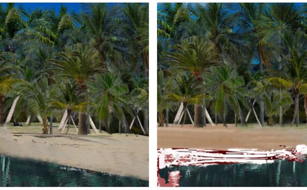 ​Bobcats, l’autre histoire de Bora Bora