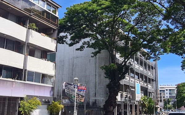 L'abattage gênant d'un marumaru centenaire