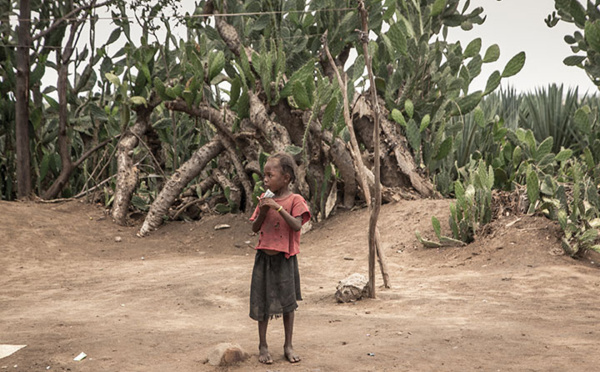 La famine écrase le sud de Madagascar, les chiffres empirent