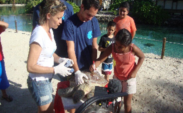 Lina, la jeune tortue verte retrouve le grand océan polynésien