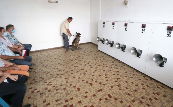 ​Dresser les chiens détecteurs au fenua