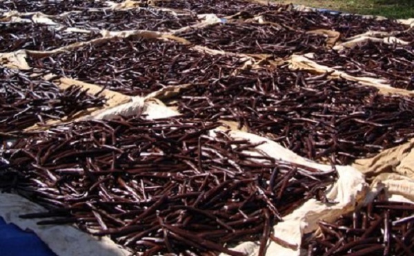 180 kg de gousses de vanille emportés par des voleurs