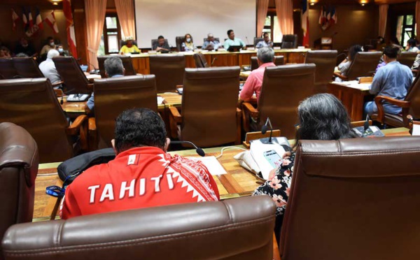 Table ronde sur le nucléaire : La proposition de vœu chiffrée du Cesec