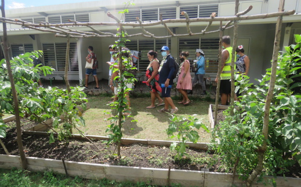 Moorea : compost et circuits courts au menu du SPCPF