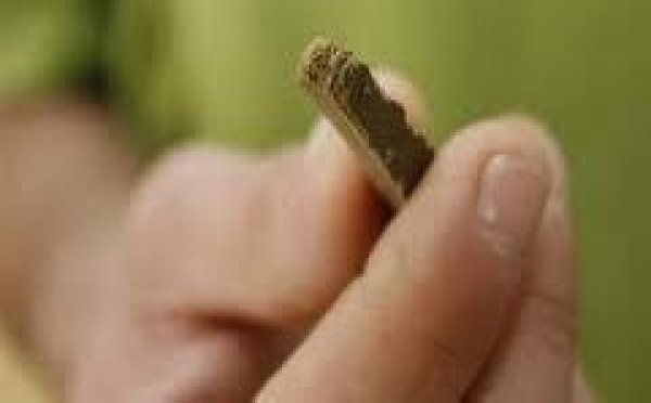 Un trafiquant de cannabis arrêté sur un parking à Taravao