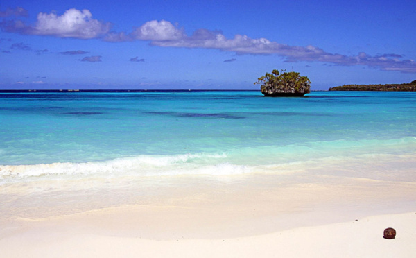 Nouvelle attaque mortelle de requin suspectée en Nouvelle-Calédonie