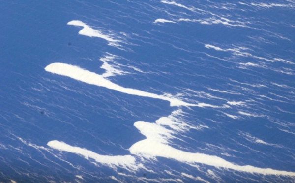 Vents violents: Multiples alertes dans l’archipel de la Société