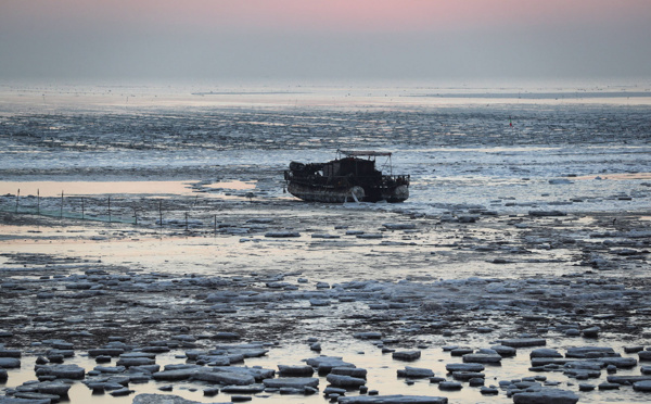 Des bateaux chinois "dissimulés" suspectés de "piller" les eaux argentines (ONG)