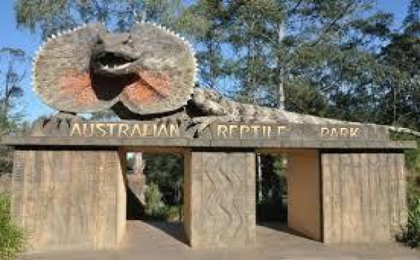 Serpents, lézards et alligator volés dans un zoo en Australie