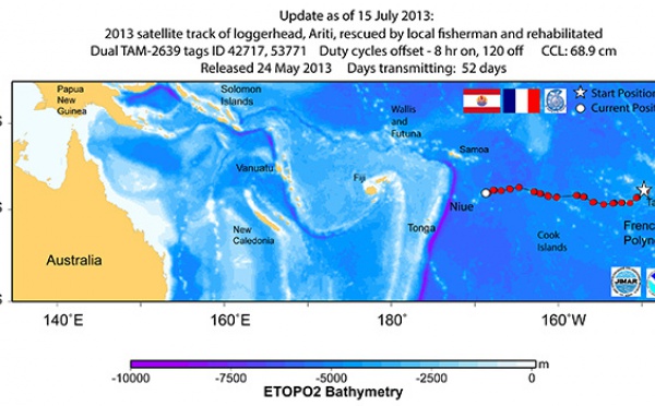 La tortue Ariti s’approche de Niue