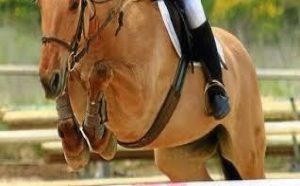 La Polynésie Championne de France Outre-Mer en Equitation
