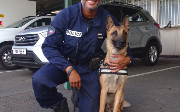 Power, la terreur des dealers