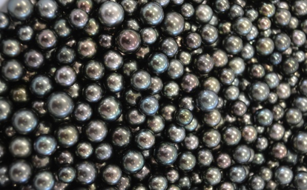 Enchères du GIE Poe o Rikitea : 325,4 millions Fcfp, une vente "au-delà des estimations"