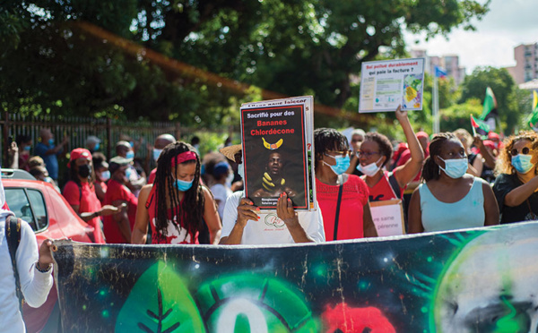 Pesticides et problèmes de santé: le lien se précise pour six maladies graves