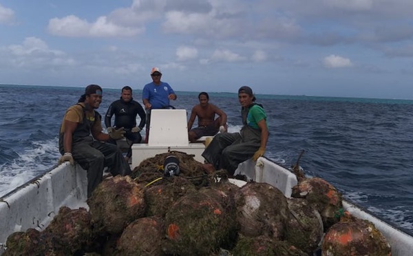 ​Le lagon de Taha'a nettoyé