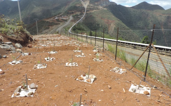 Calédonie: production de nickel suspendue à Koniambo à cause d'un conflit social